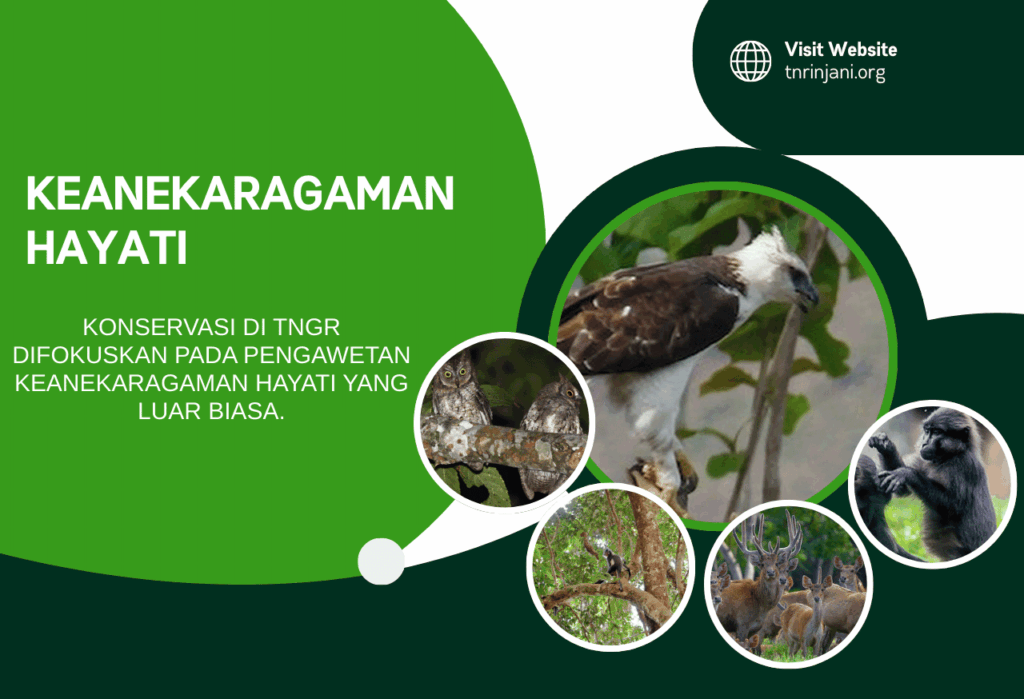Keanekaragaman Hayati sebagai Fokus Utama Konservasi
