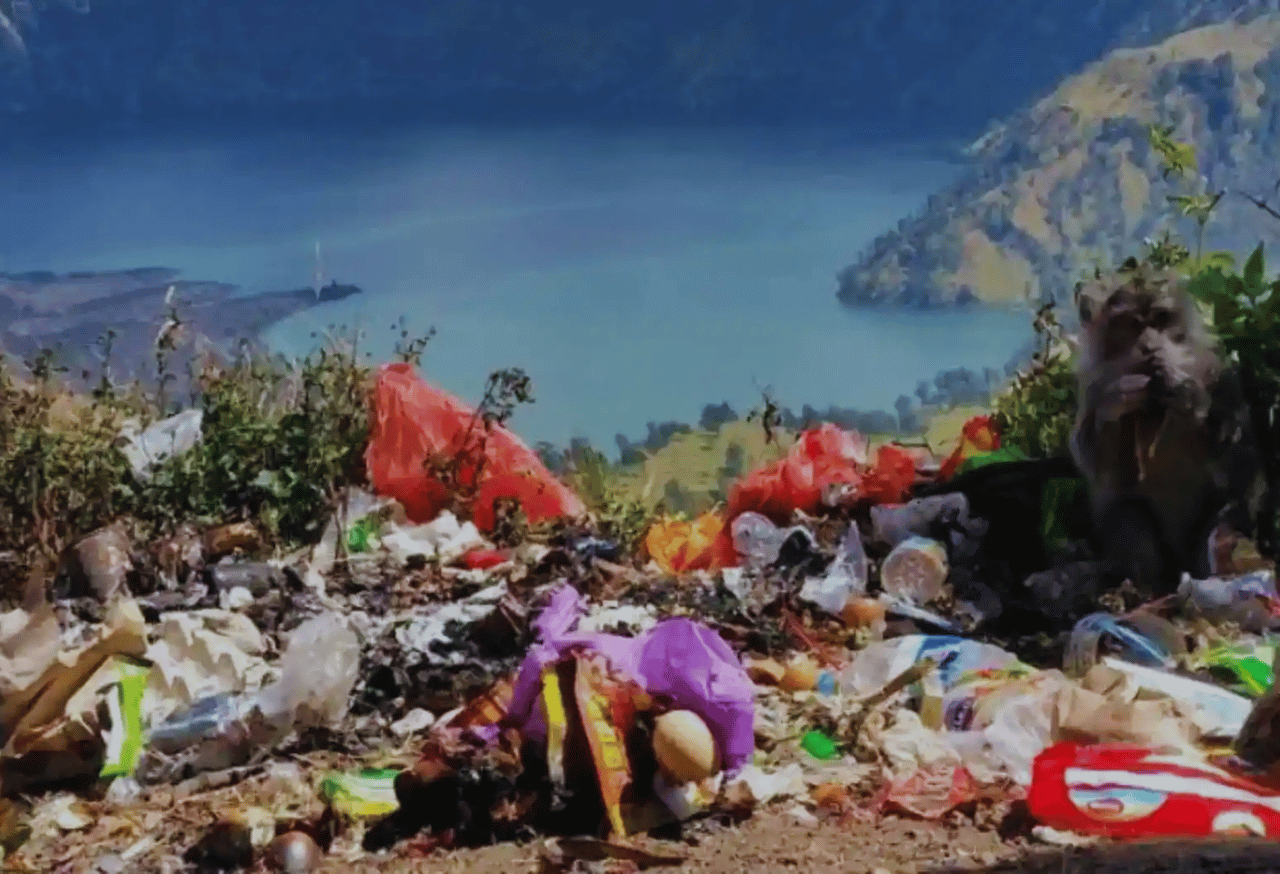 Konservasi Ekowisata dan Pengelolaan Sampah