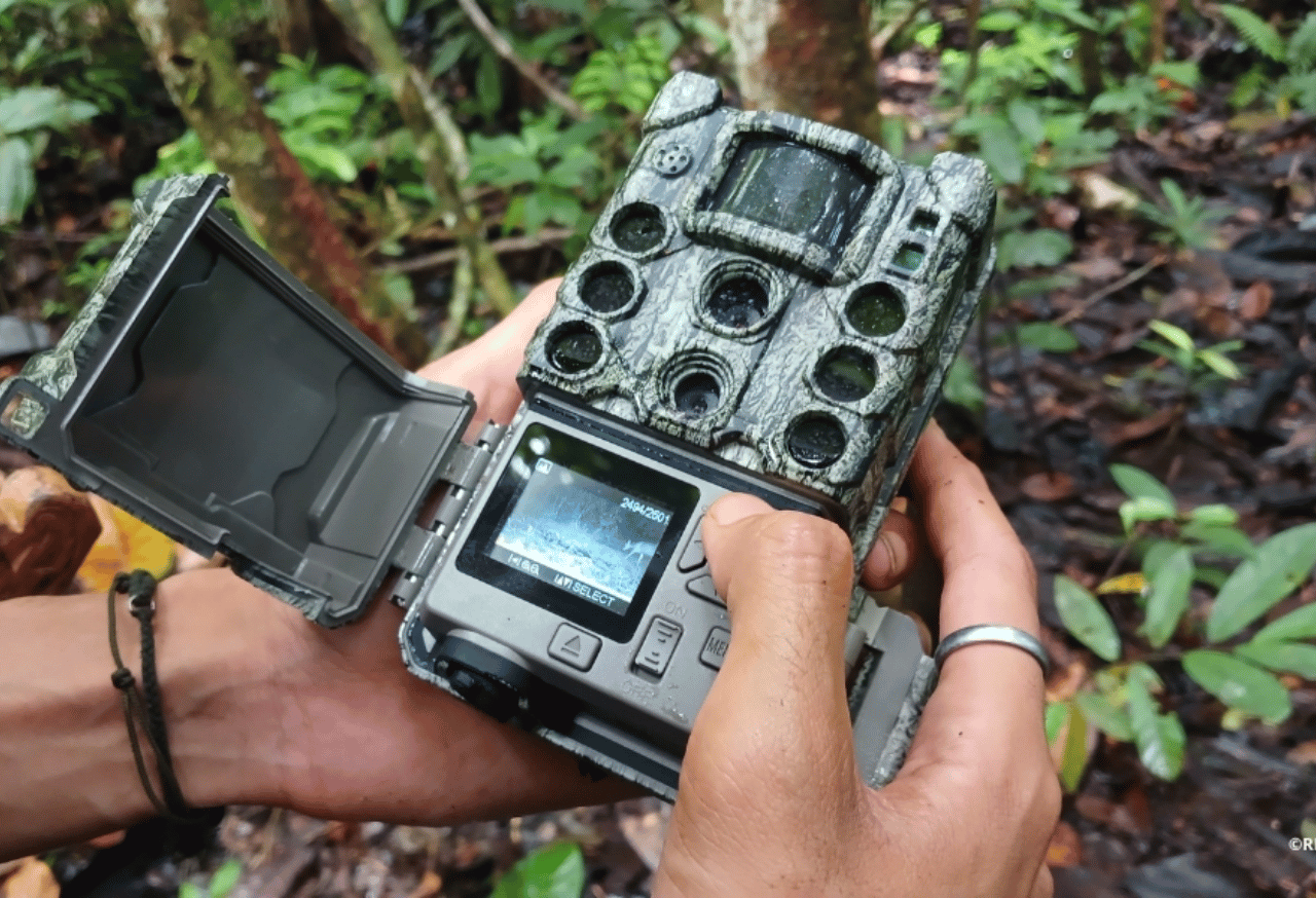 Monitoring Biodiversitas