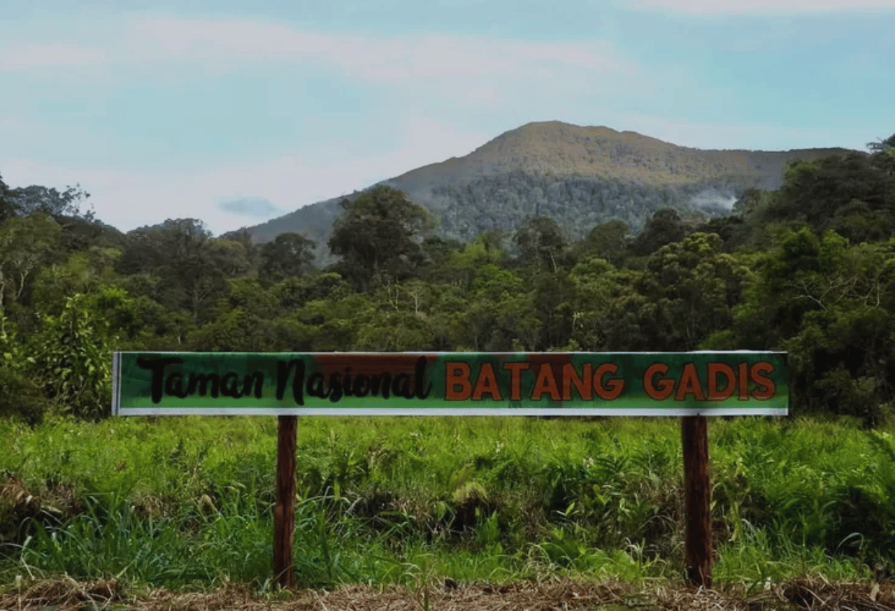 Taman Nasional Batang Gadis