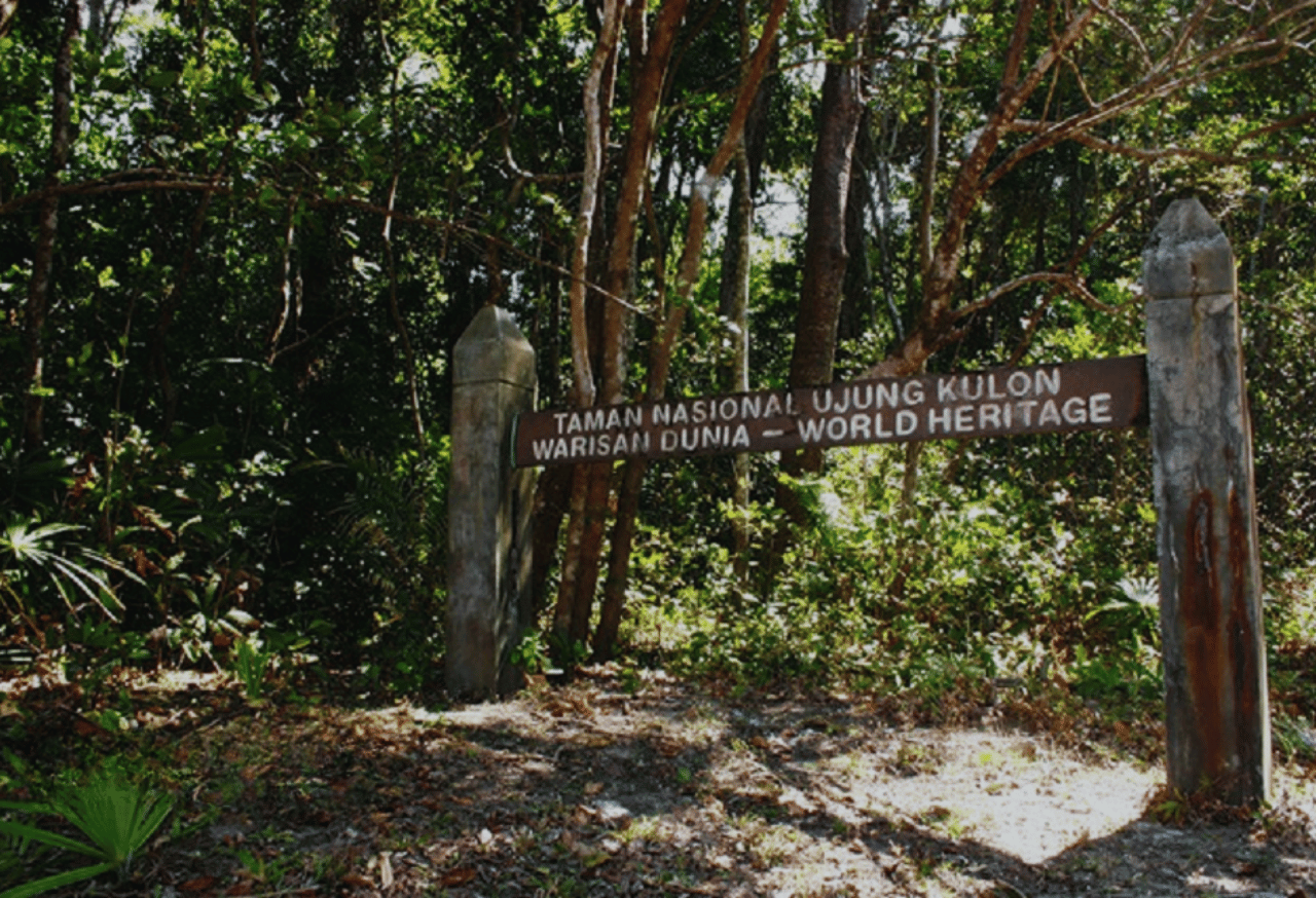 Taman Nasional Ujung Kulon